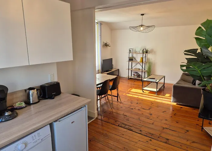 Apartman L'industriel - Centre Lourdes